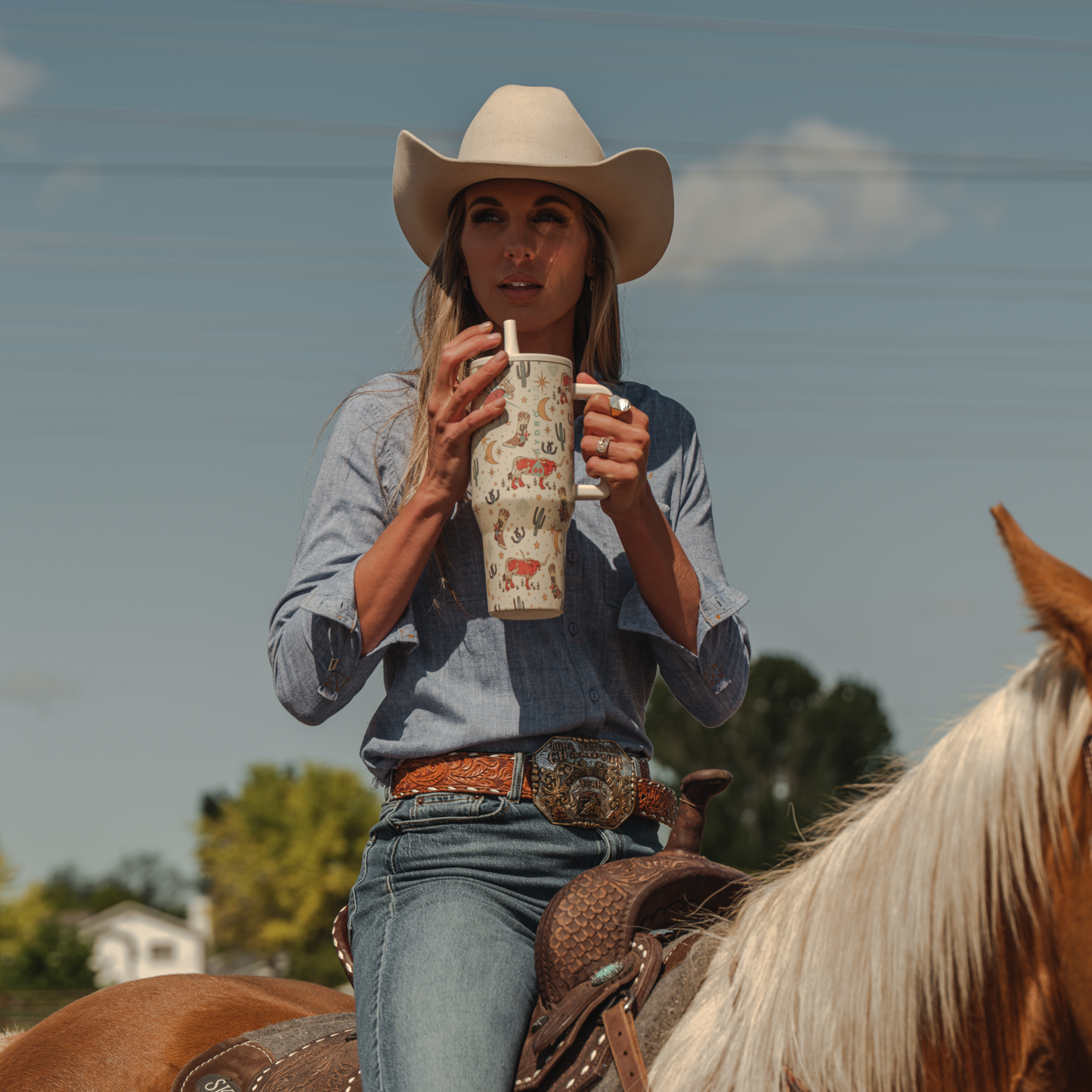 rodeo-b8 TRVL-Rodeo-6WPI.png