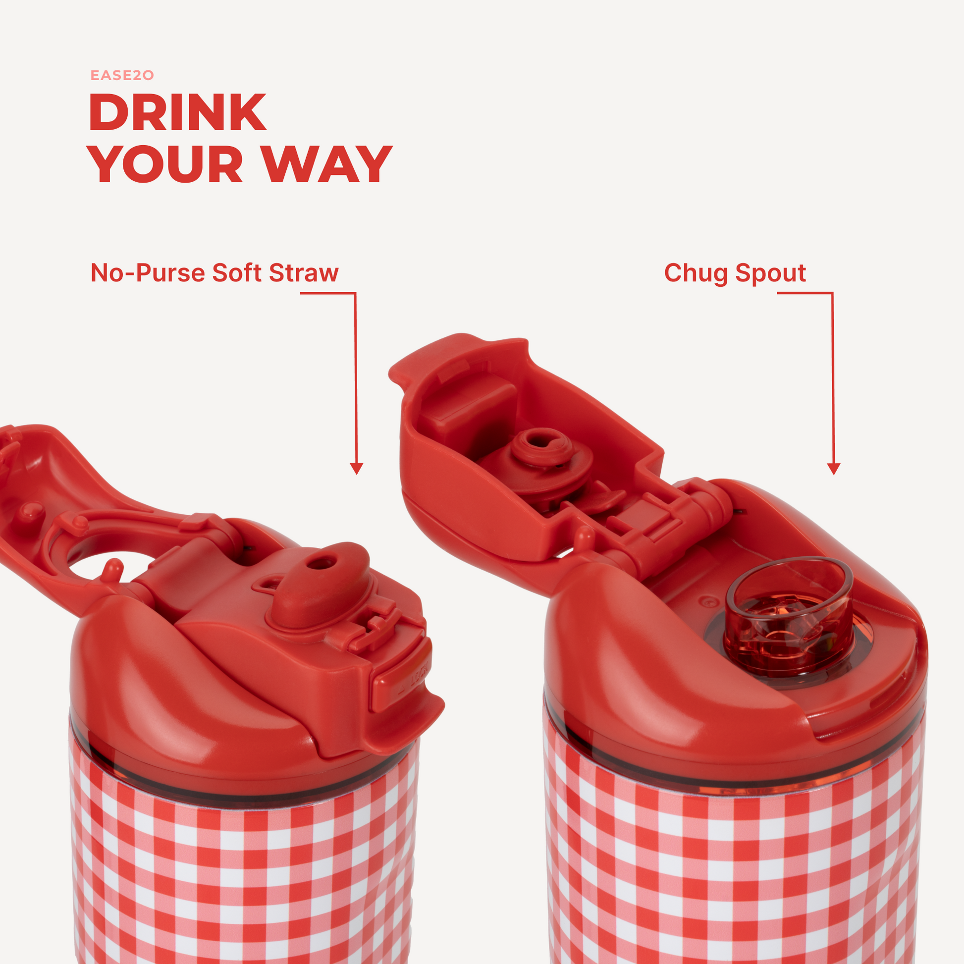 summer-picnic-d4 Ease14-SummerPicnic-3WPI.png