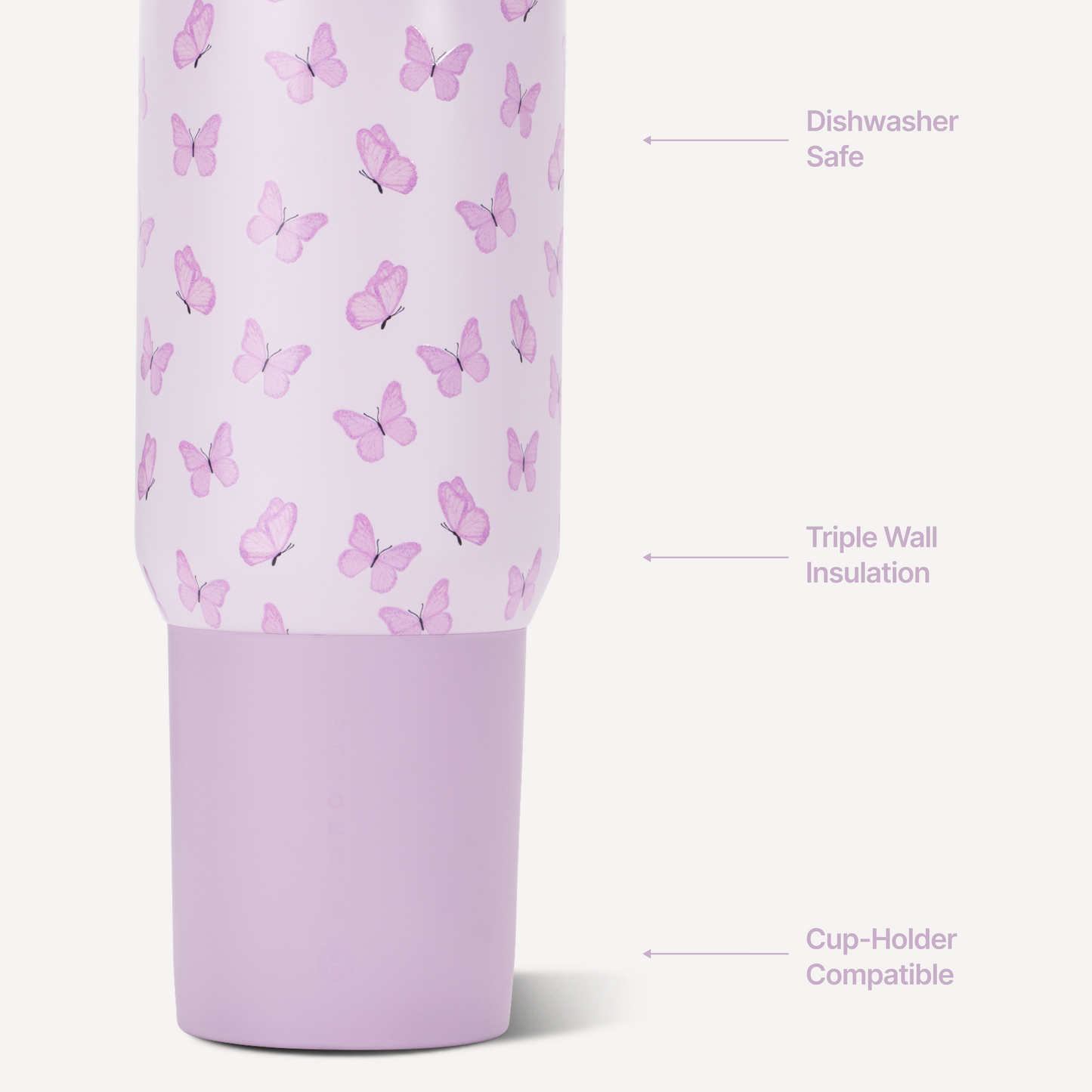 flutter-p2 Sport20-Flutter-3-WPI.png