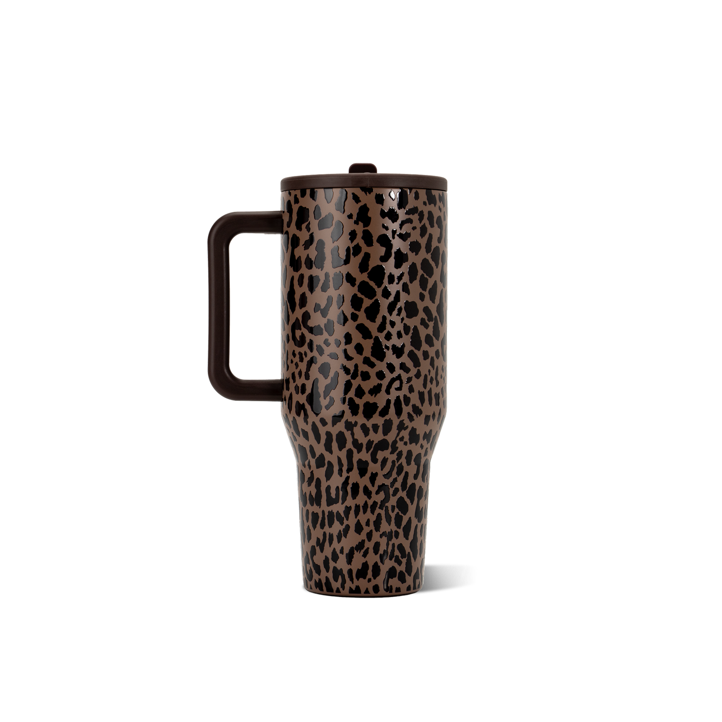 brown-leopard-q4 TRVL32-BrownLeopard-5-WPI.png